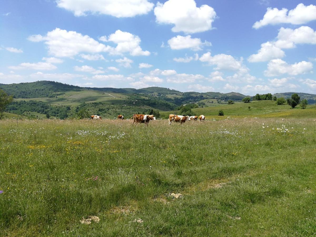 Appartamento Drveni Raj Uvac Sjenica Esterno foto